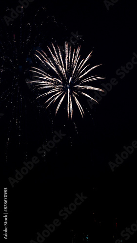 fireworks in the night sky #02 with copy space