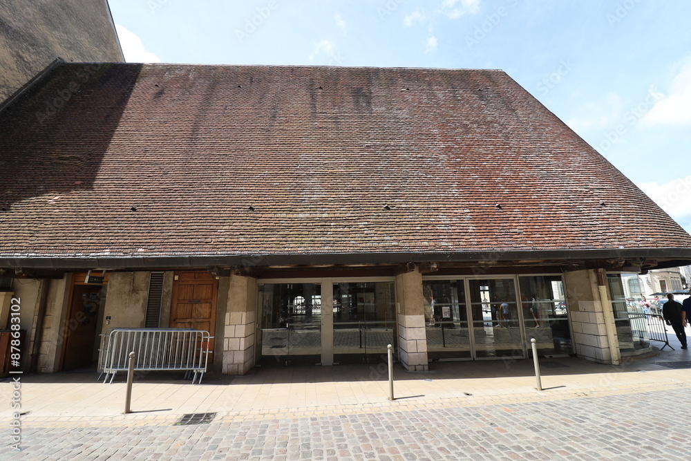 Les halles de Beaune, halle du marché, marché couvert, ville de Beaune, département de la Côte d'Or, France