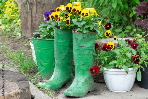 Photos Red and yellow pansies in decoration flowerpot
