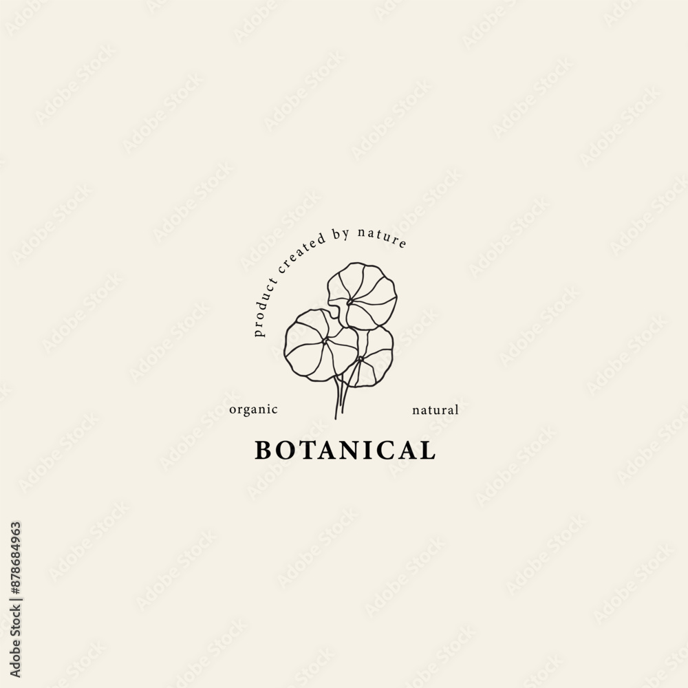 Fototapeta premium Hand drawn gotu kola leaves. Centella asiatica logo