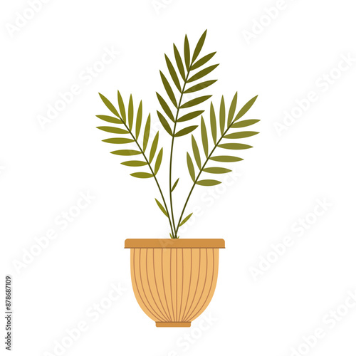 House plant. Indoor flower in a pot. Vector illustration on a white background.