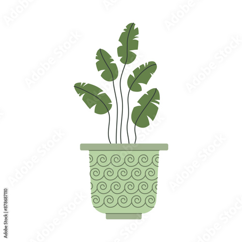 House plant. Indoor flower in a pot. Vector illustration on a white background.