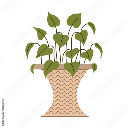 House plant. Indoor flower in a pot. Vector illustration on a white background.