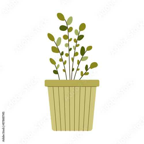 House plant. Indoor flower in a pot. Vector illustration on a white background.