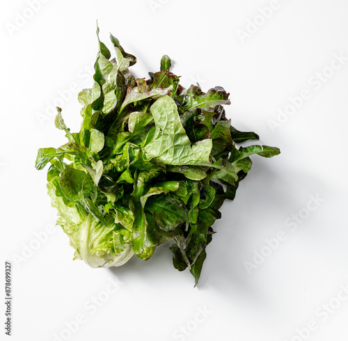 Lettuce head