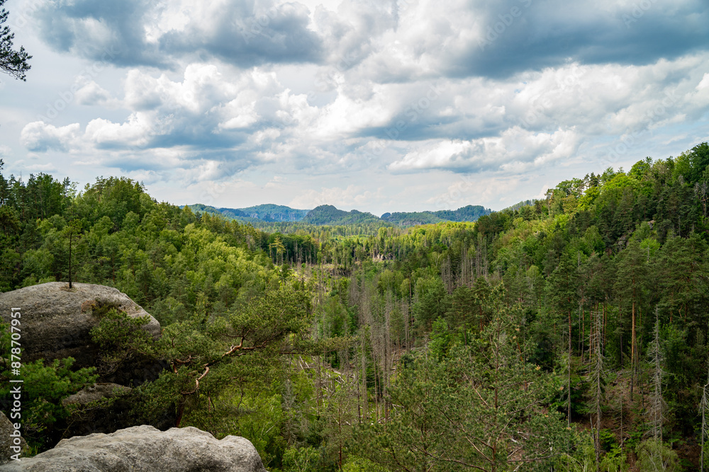 Fototapeta premium Sächsische Schweiz