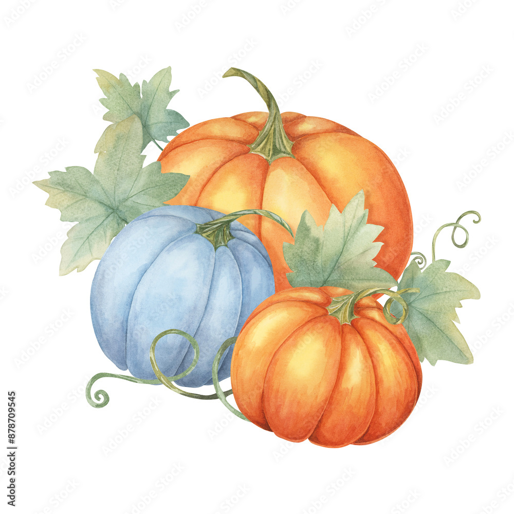Two orange pumpkins and one blue pumpkin with green leaves. Colorful squash illustration. Watercolor clipart for fall-themed invitations, Thanksgiving, seasonal greeting cards, and kitchen decor Two orange pumpkins and one blue pumpkin with green leaves. Colorful squash illustration. Watercolor clipart for fall-themed invitations, Thanksgiving, seasonal greeting cards, and kitchen decor