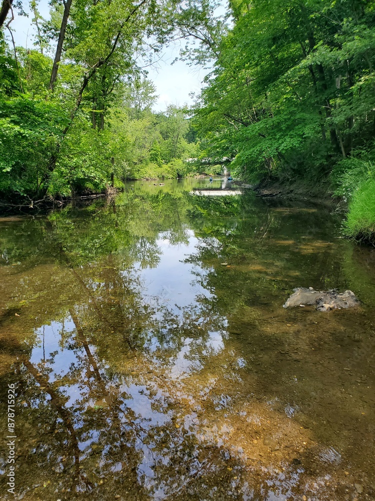 river in the woods