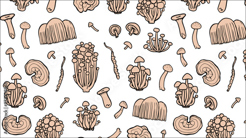 Japanese fungus wallpaper. Asian mushrooms pattern. Hand drawn medicinal mushrooms. Illustration of Shimeji, erinji, shitaki, cordyceps, turkey tail and lions mane. 
