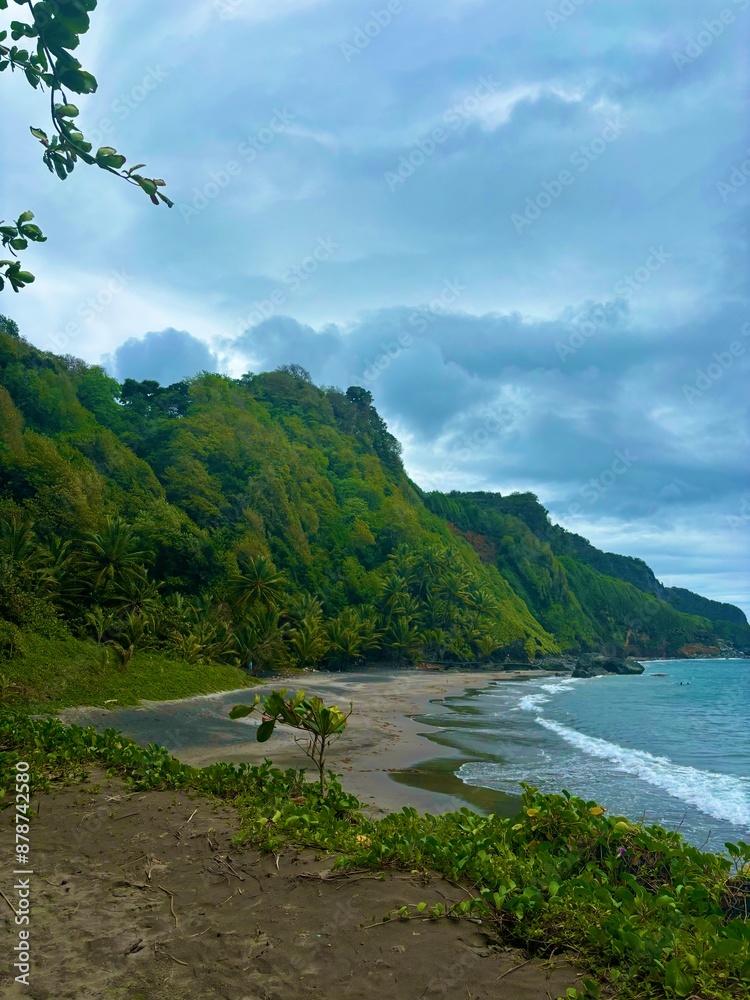 green rainforest with sandy beach green rainforest with sandy beach