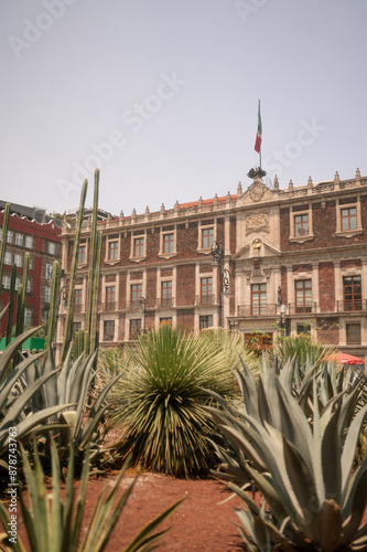 Travel in CDMX