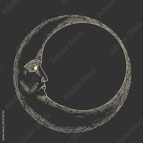 Vector illustration set of moon phases. Different stages of moonlight activity in vintage engraving style. Zodiac Signs	