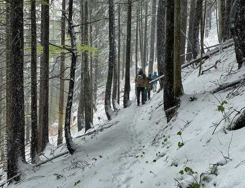 Wanderer unterwegs im verschneiten Wald auf dem Weg zum Erlbergkopf, Chiemgau, Alpen, Bayern, Deutschland photo