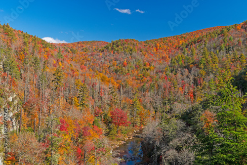 Autumn Colors in a River Valley