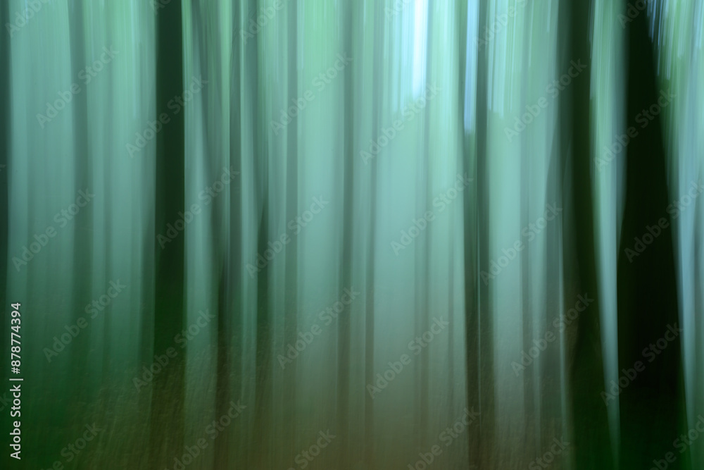 A beech forest on the island of R?gen in motion blur A beech forest on the island of R?gen in motion blur