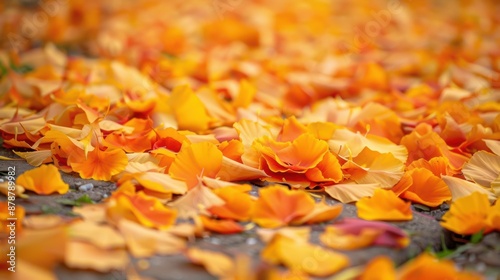 Orange flower petals scattered on a gray path in autumn photo