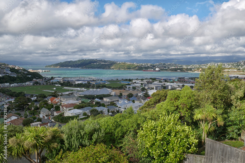 Obraz premium view of the port from the hill of a city