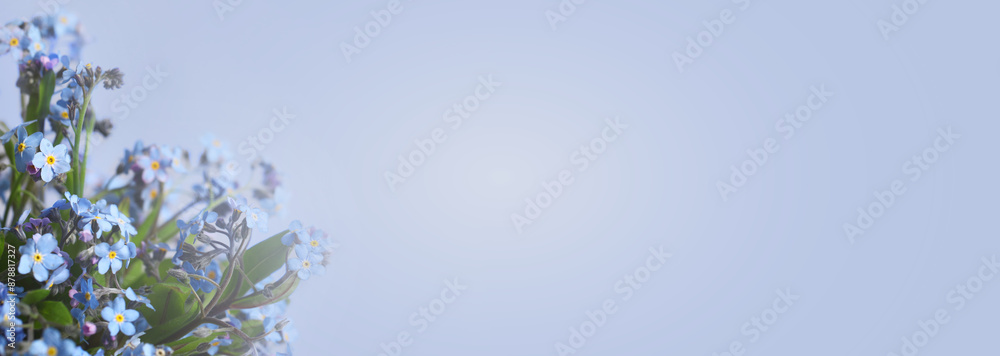 Beautiful forget-me-not flowers on light blue background, space for text. Banner design Beautiful forget-me-not flowers on light blue background, space for text. Banner design