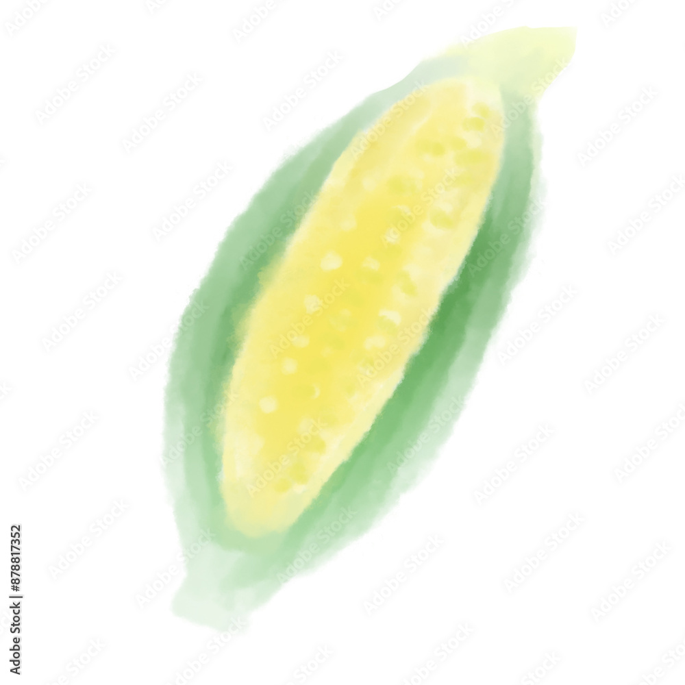 水彩で描いたとうもろこしの手描きイラスト 水彩で描いたとうもろこしの手描きイラスト