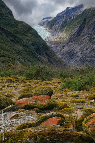 lichen growing on rocks at the foot of the glacier