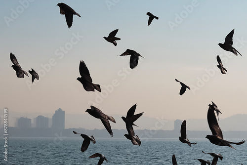 Tableau sur toile A flock of pigeons flying over water with a foggy city skyline in the background, creating a serene and dreamy scene