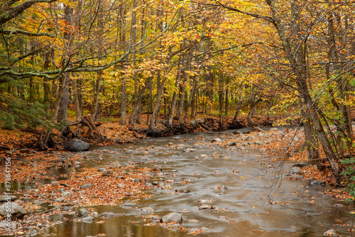 The streams in Vermont