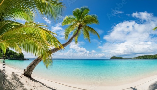 beautiful palm tree on tropical island beach on background blue sky with white clouds and turquoise ocean on sunny day perfect natural landscape for summer vacation