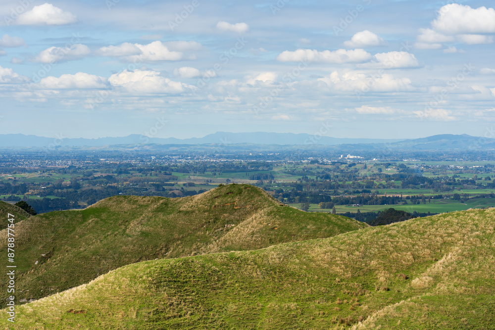 Obraz premium Farmland vista in the Waikato region of New Zealand