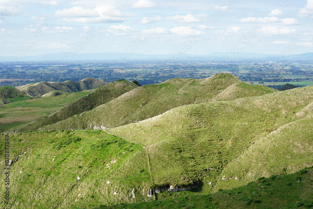 Farmland vista in the Waikato region of New Zealand Farmland vista in the Waikato region of New Zealand