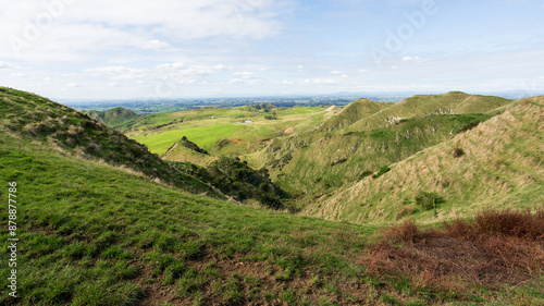 Farmland vista in the Waikato region of New Zealand