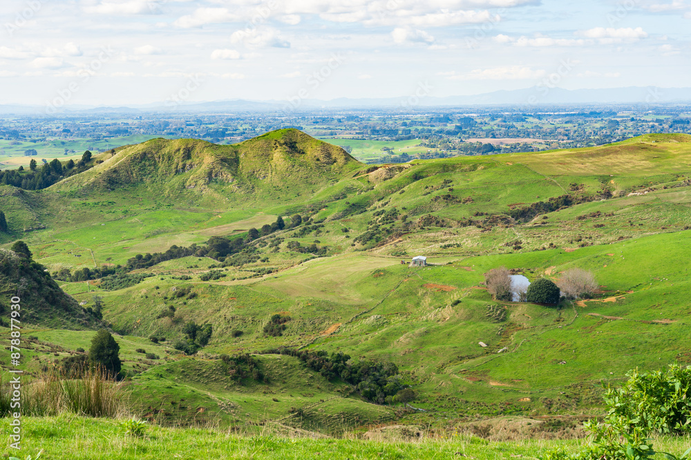 Farmland vista in the Waikato region of New Zealand