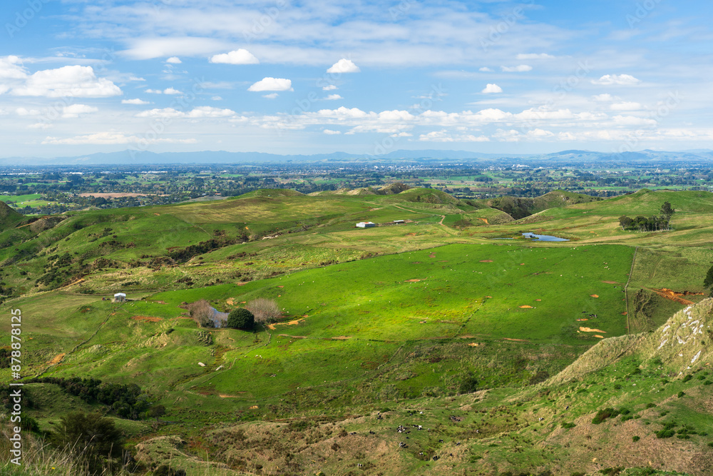 Fototapeta premium Farmland vista in the Waikato region of New Zealand