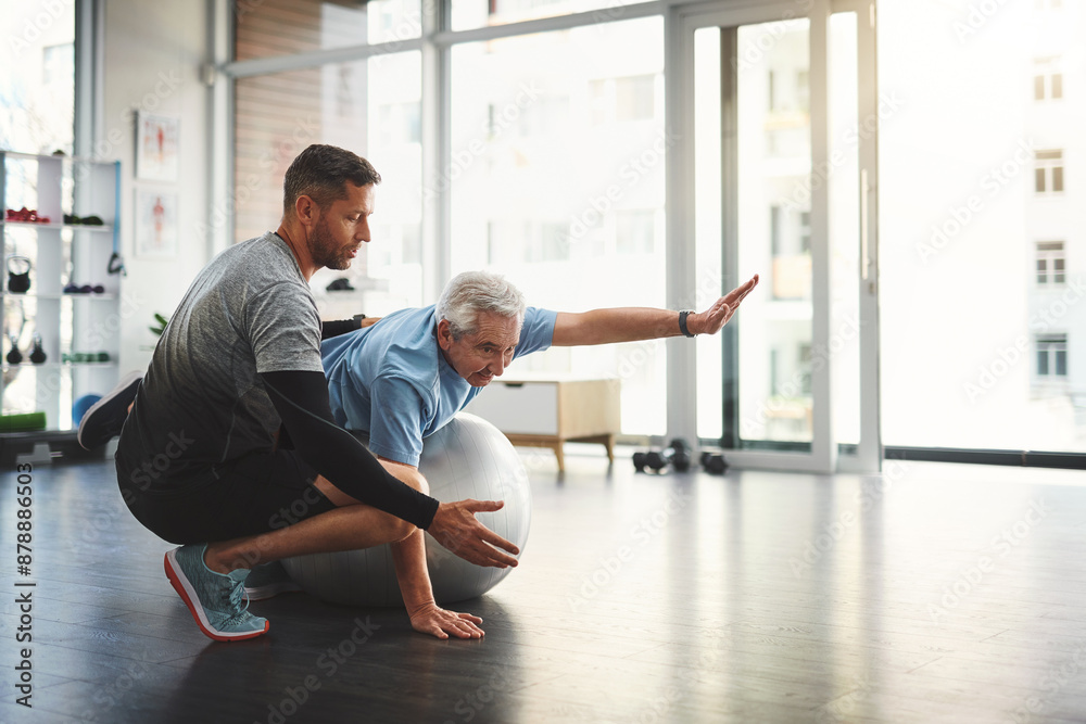Stretching, elderly man and physiotherapist with ball for mobility training, support or muscle workout. Fitness, physiotherapy and senior person with exercise, development or healthcare in retirement Stretching, elderly man and physiotherapist with ball for mobility training, support or muscle workout. Fitness, physiotherapy and senior person with exercise, development or healthcare in retirement