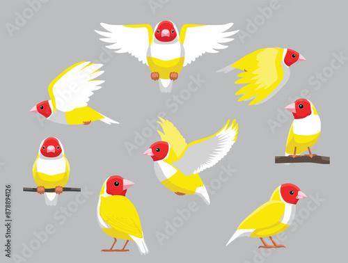 Bird Yellow Gouldian Finch Exotic Various Poses Cartoon Vector Character