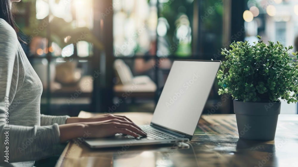 Woman working on laptop in a cafe. Woman working on laptop in a cafe.