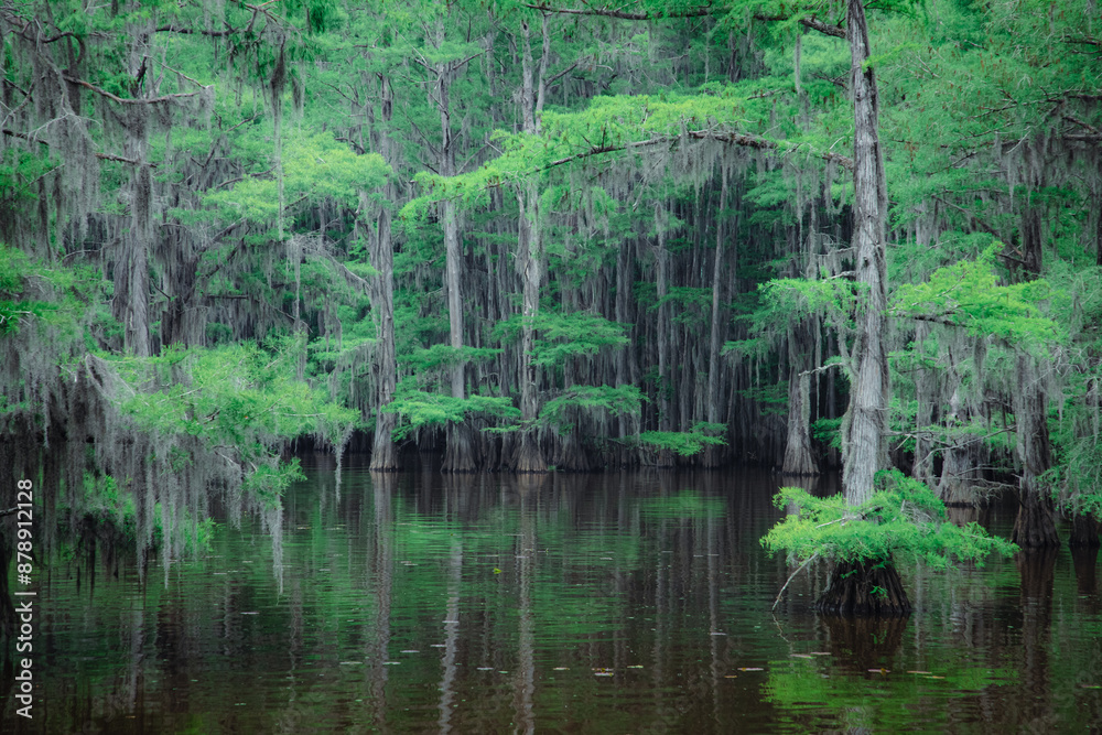 Caddo Lake on the Texas and Louisiana state border Caddo Lake on the Texas and Louisiana state border