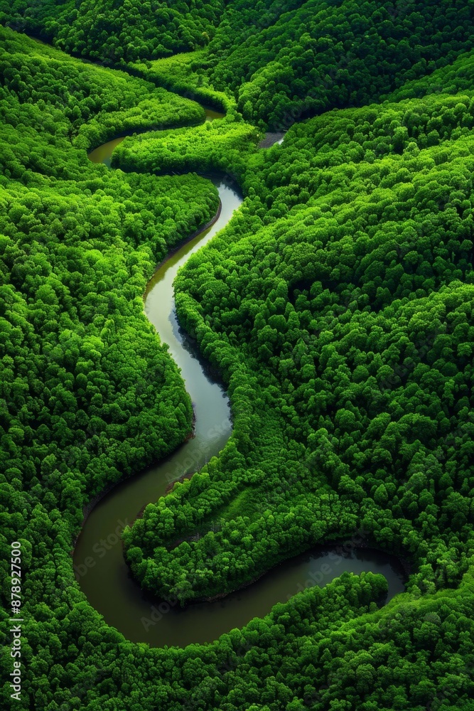 Aerial view of a winding river through lush green forest Aerial view of a winding river through lush green forest
