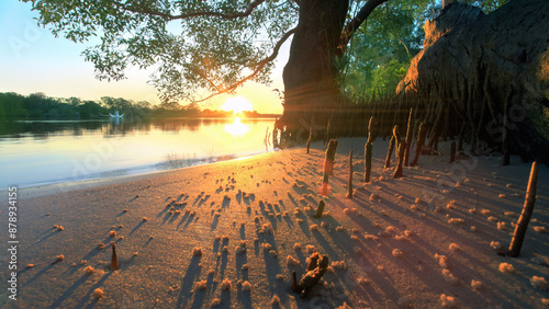 Sunset over the Noosa River, Everglades.