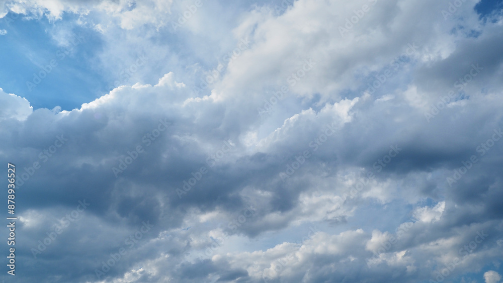 Fototapeta premium 夏の夕方の空の積雲の様子