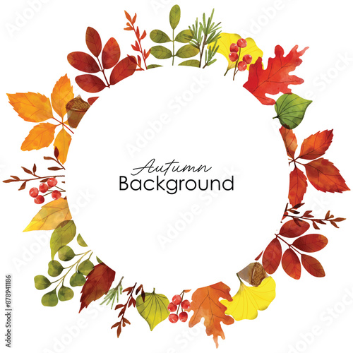 Watercolor vector autumn frame with leaves and branches. Autumn foliage watercolor frame, fall leaves, acorns, berries, spruce branch. Forest design elements illustration