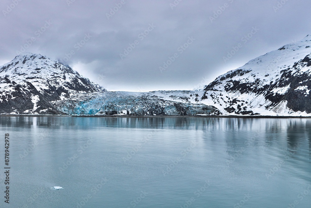 Fototapeta premium College Fjord, Alaska