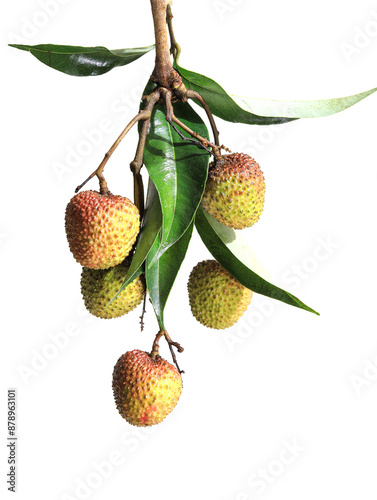lychee isolated on white background