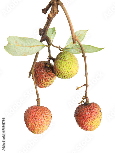 lychee isolated on white background