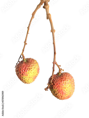 lychee isolated on white background