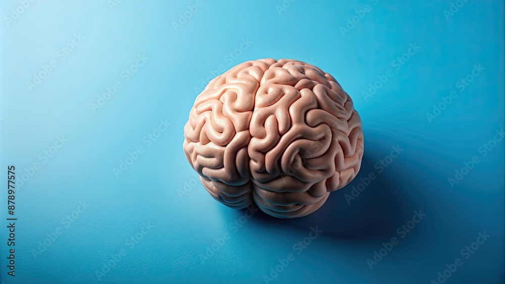 Human brain made of paper isolated on blue background, brain, paper, creative, imagination, intelligence, art, concept Human brain made of paper isolated on blue background, brain, paper, creative, imagination, intelligence, art, concept