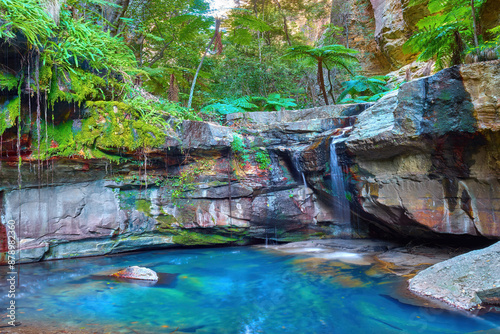 Tranquil serenity at the Moss Garden photo