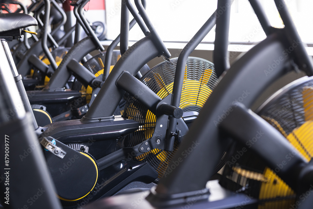Rowing machines await users in a well-equipped gym Rowing machines await users in a well-equipped gym