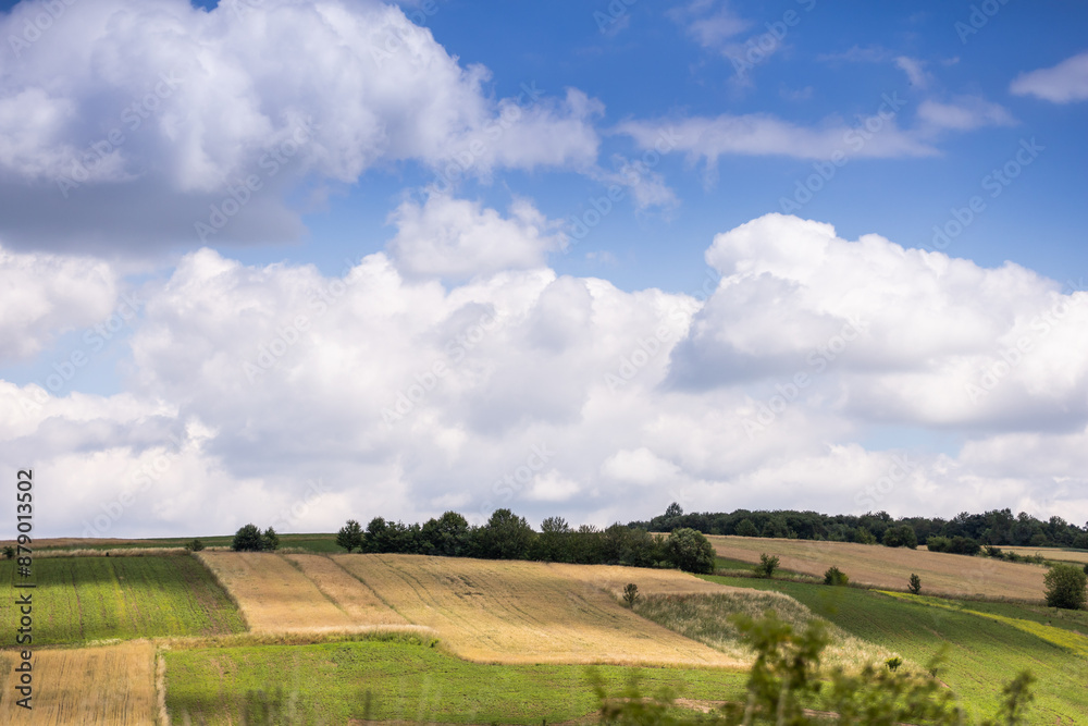Landscape with field and blue sky. Agricultural crops. View. Nice nature. Landscape with field and blue sky. Agricultural crops. View. Nice nature.