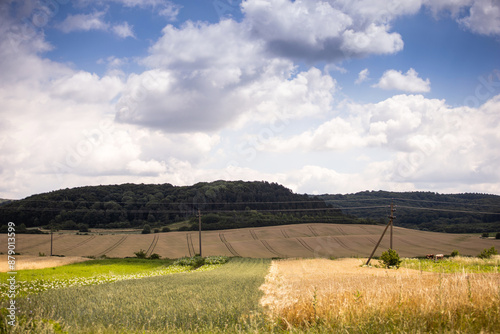 Wheat field and sky. Landscape with field and blue sky. Agricultural crops. View. Nice nature. Field of wheat © Liubov Kartashova