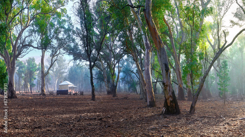 Hills Homestead on a Foggy Morning
